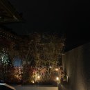 스테이 고요화 이미지