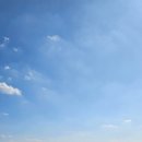 연포해수욕장(송림) 이미지