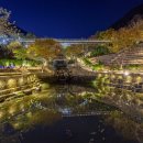 월아산 숲속의 진주 이미지