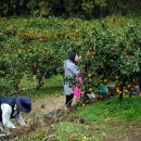 종해농장 이미지