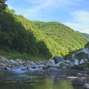 리더스펜션민박 | 단양가족펜션 추천! 계곡에서 10초거리 리더스 펜션
