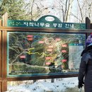 인제01 Daum카페