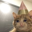 구미도서관 | 재개관한 구미시립인동도서관 무인반납기 사용후기