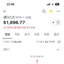 어머 샌디 도란나 이미지