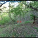 양북초 송전분교 이미지