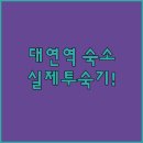 호텔덴바스타 대연점 | 대연역 근처 깨끗한 호텔 베스트 5 실제 투숙 사진 및 장점 정리