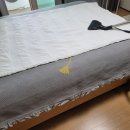 황금홈케어