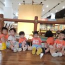 광탄어린이집 이미지