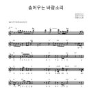 숨어우는 바람소리-이정옥(색소폰 연주) 이미지