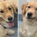 나랑놀개 이미지