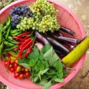 오도이촌 | 시골집 매매 시 조건, 주의사항, 오도이촌 후기