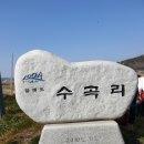 [#섬산행 8] 1004섬이 있는 신안군 승봉산 산행 이미지