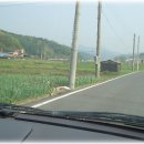 판교시장 이미지