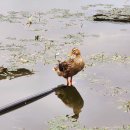 활천공원 이미지