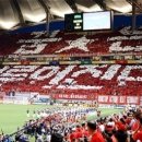 비바코리아 이미지