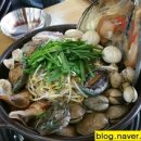 증평수족관 이미지