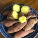 맛샘농장 이미지