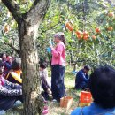 한덕농장 이미지