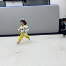 용인대 k-타이거즈 태권도장 이미지