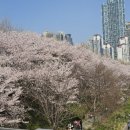 밀미리 이미지