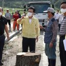 강진9호 이미지