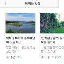 제주유유자적 이미지