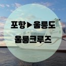 울릉크루즈 뉴씨다오펄호 / 멀미 결항 걱정없이 울릉도 다녀온 후기 (Feat.어쩌다 보니 왕복탑승후기)