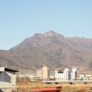 문경한우정육점