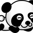 신행정사 사무소 이미지