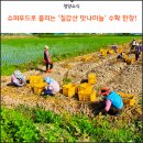 칠갑산수퍼