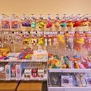 견생냥품 김해장유점 이미지