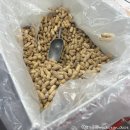 김진동농장 이미지