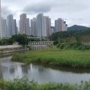 일광, 낭만에 대하여 이미지