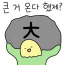 에스앤어스 이미지