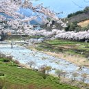 장터주유소 이미지