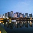 우성태권도전문학원 이미지