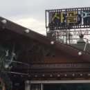 코털네고기