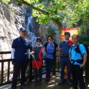 봉일천초등학교 이미지