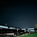 웰컴독 (welcome dog) 이미지