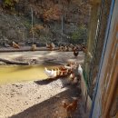 장군농장 이미지