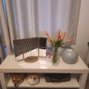 무지 게스트하우스 | 제주도 1인 게스트하우스 &#34; 제주도 조용한 게스트하우스 / 제조게하 &#34; 방문후기