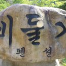 비둘기 펜션 이미지