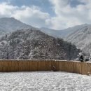 잼보리캠프 이미지