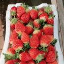 검은들농장 이미지