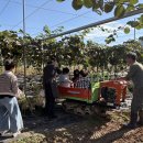 보성교육지원청 특수교육지원센터 ‘가족치유 프로그램’ 실시[미래교육신문] 이미지