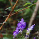 둥둥목장 이미지