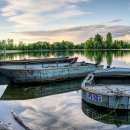 THE힘찬동물병원 이미지