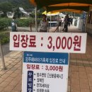해바라기2 | [경남 함안] 강주 해바라기 축제 2번 다녀온 후기(꼭 축제기간 중간쯤에 다녀오셔요 )