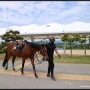 본마사동 이미지