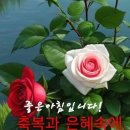 더좋은